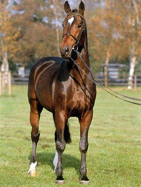latus_II_2.jpg