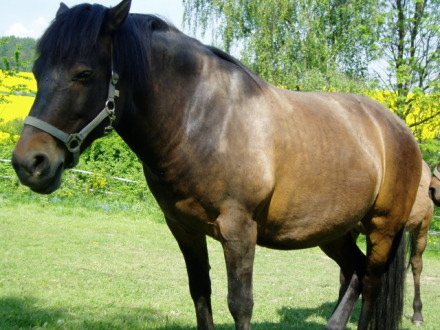 monty010.jpg
