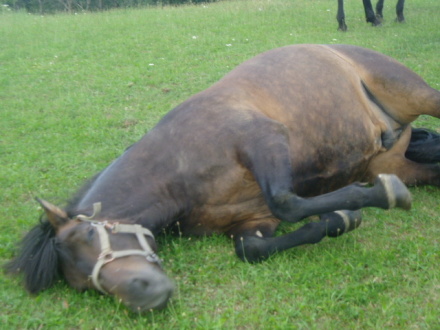 monty012.jpg