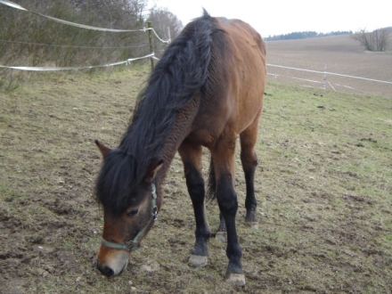 gerda002.jpg