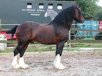 samson1_400x300.jpg