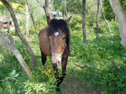 gerda005.jpg
